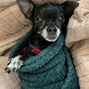 Meet your Posher, Justice